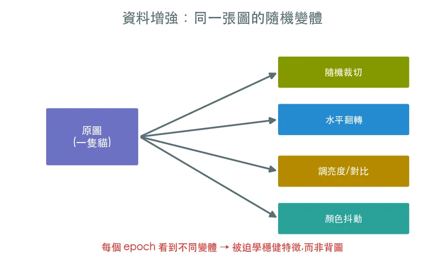 資料增強 · 對抗過擬合 範例輸出